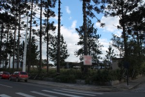 terreno
