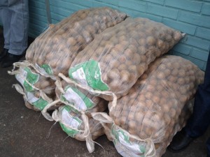 batata (4)