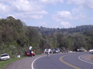 DSCF5449