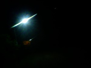 OVNI 1