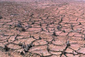 desertificação1