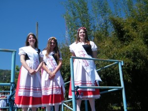 einwander 4