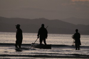 pesca