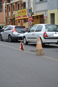 Abelhas 1