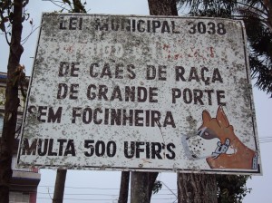 Lei caes 1