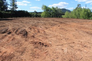 terreno
