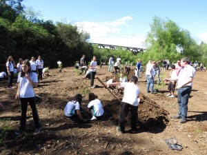 árvores (1)