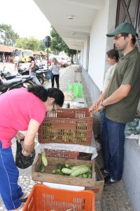 Cuidados verão 01