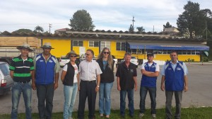 Treinamento