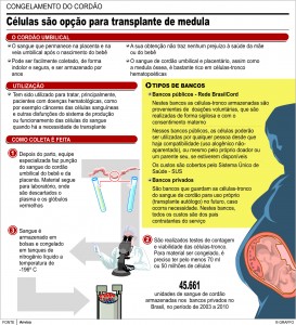 Gráfico Cordão Umbilical