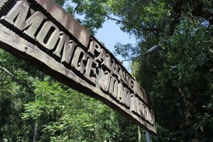 Parque 00