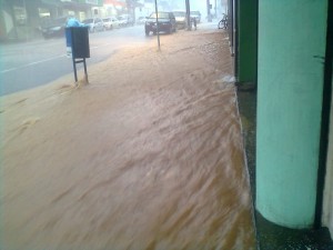 Foto tirada pela leitora Patricia de Almeida  