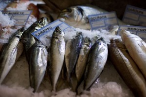 peixe