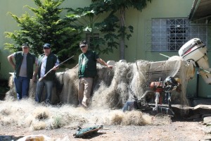 piracema (2)