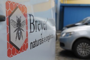 Empresa é pioneira na produção do própolis e lidera mercado internacional: alemães compram bem e reexportam produto na Europa