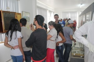 Apicultura 2