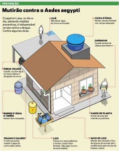 Pernilongos - grafico
