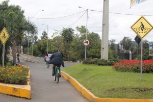 Rotatória - 01