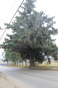 UNIGUAÇU (2)