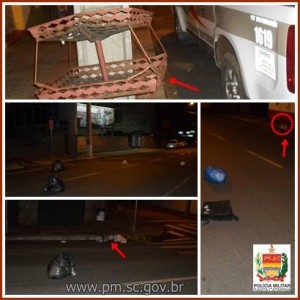 dano e vandalismo