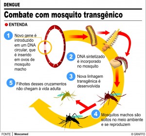 dengue