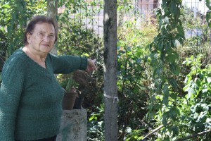 Muro da casa de Erzila foi danificado três vezes por veículos em velocidade alta
