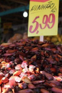 Mesmo em oferta, pinhão está mais caro: em média, quilo sai por R$ 6