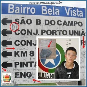 dano ao patrimônio público