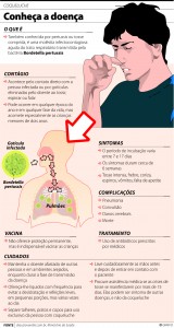 Gráfico Coqueluche Cor