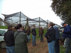 diacampo-fraiburgo-agricultores