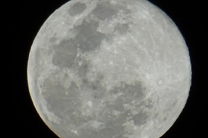 DSC00364