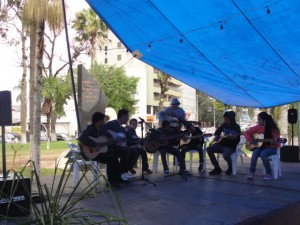 comunidade fazendo arte (1)