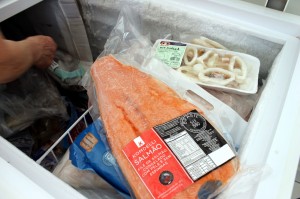 congelados-produtos-reproducao