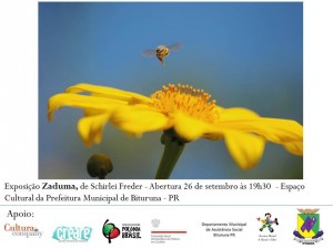 exposição-bituruna-cultura