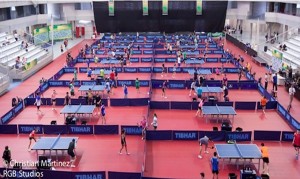 Tenis de Mesa