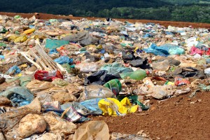 ecocidade-projeto-uniaodavitoria