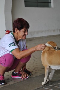 feira-cães-uniãodavitoria