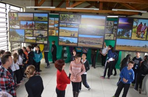 mallet-exposição-cultura (1)