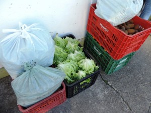 merenda-mallet-agricultores