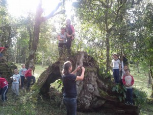 passeio-ecológico-mallet