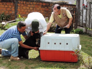projeto castração_recolhimento (1)