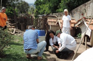projeto castração_recolhimento (4)