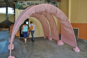 tunelrosa-outubro-saude