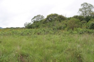 cemiterio-terreno-uniaodavitoria