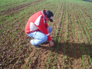 diadecampo-mallet-agricultura2