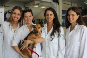 projetoanimal-uniguaçu-evento