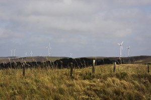 Usina Eólica de Palmas