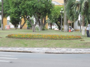 jardinagem-uniaodavitoria-flores