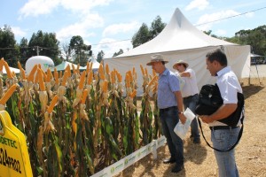 cda-evento-participacao