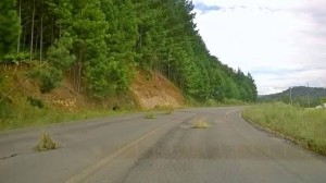 tapaburacos-rodovia-portouniao